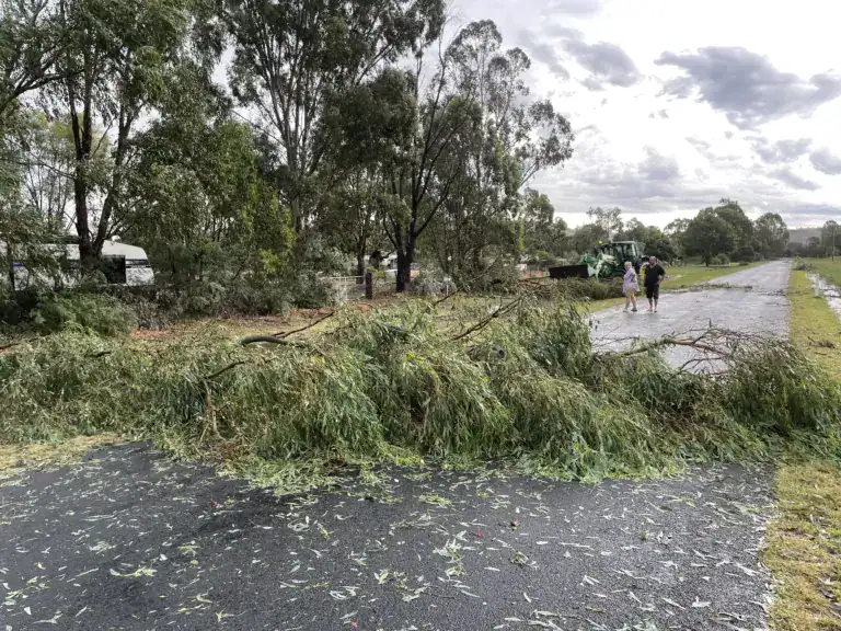 Storm Clean Up Service