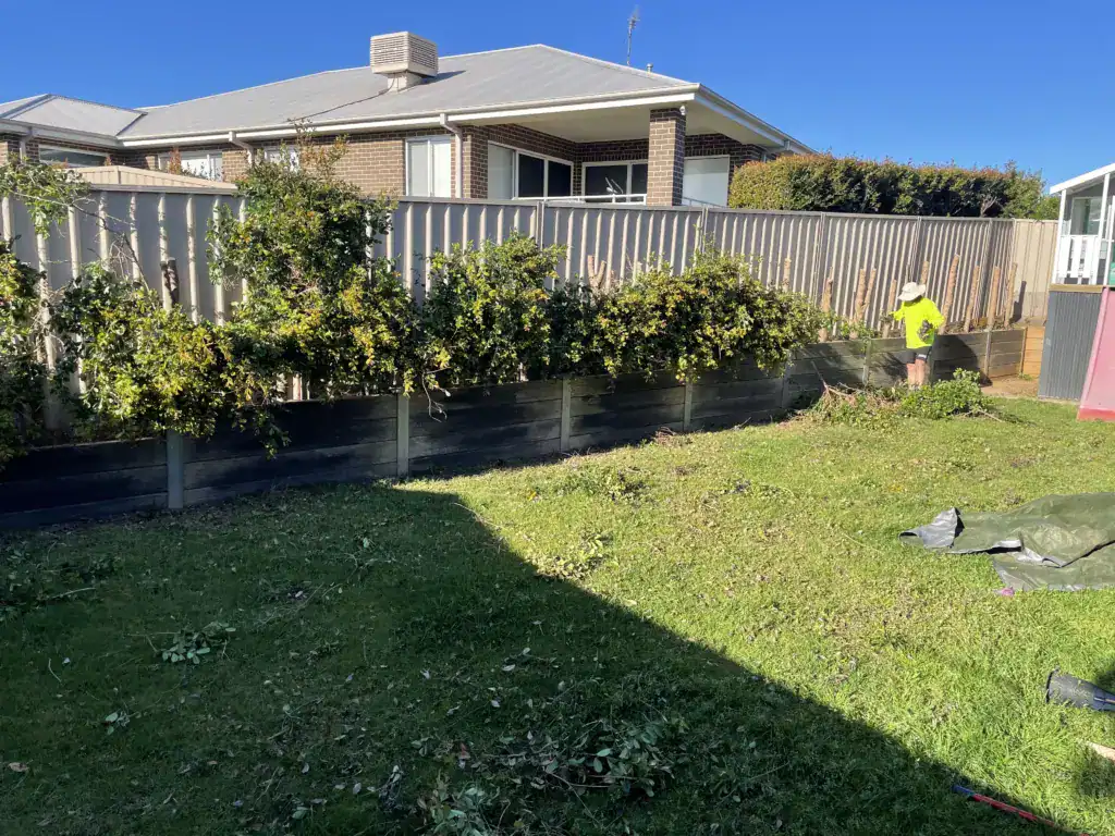 Worker trimming hedge along backyard fence and retaining wall