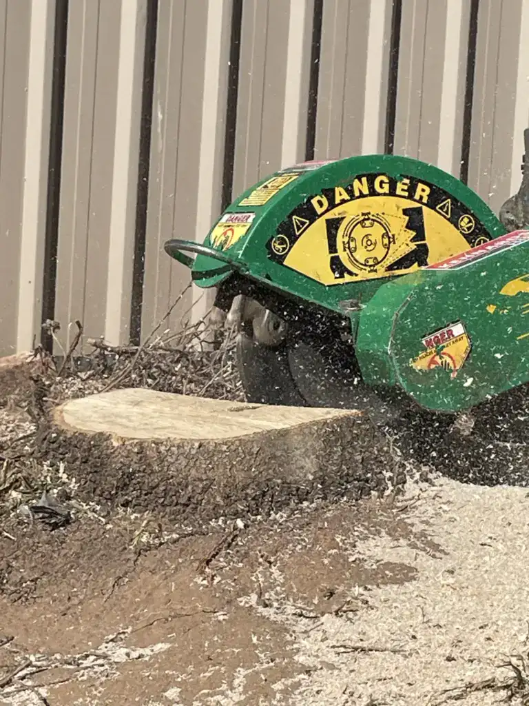 Stump Grinding Service