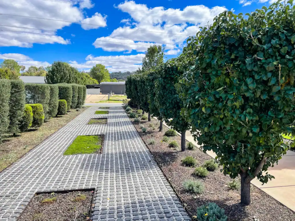 Landscaped driveway with trimmed hedges under blue sky