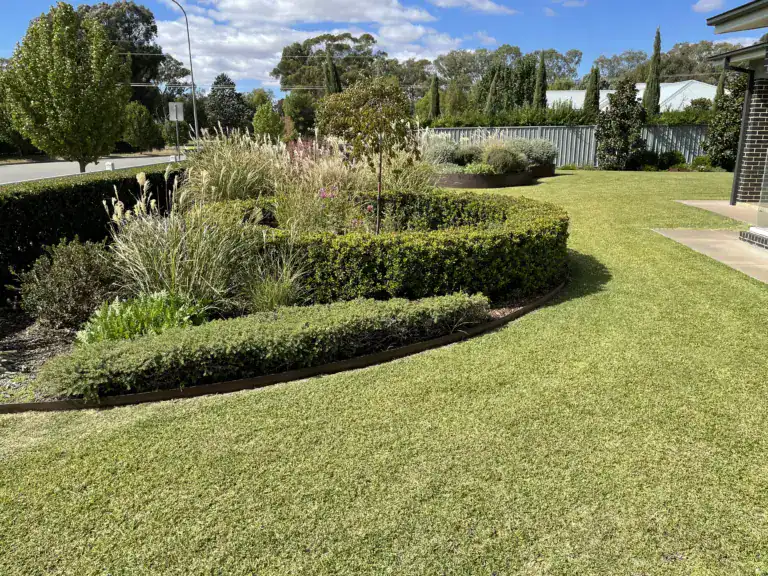 Yard and Lawn services Service