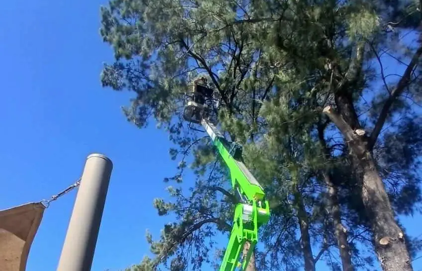 Green boom lift trimming tall tree branches